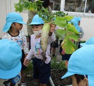 大根を抜いた子ども