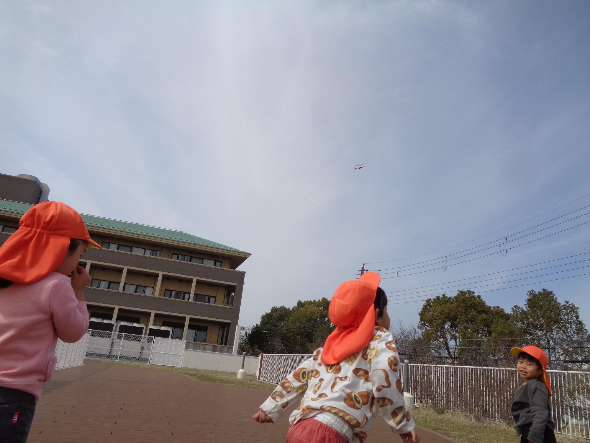 20250314はる見つけた4