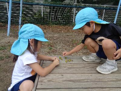 小学校2