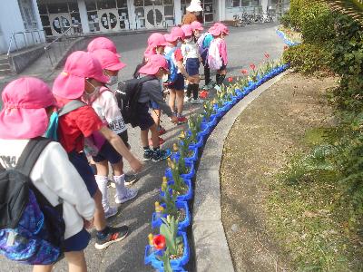 チューリップを見る子ども