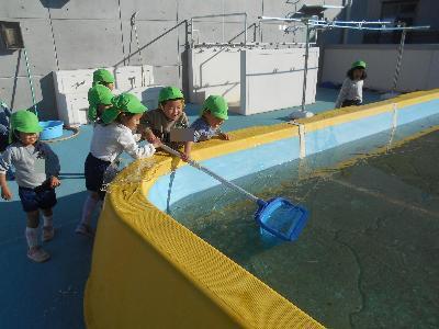 氷取り