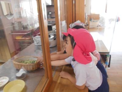 エンドウマメを調理室に持っていく姿