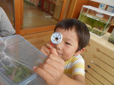自分の作った虫眼鏡でテントウムシを観察