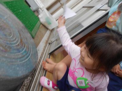 たらいに写ったインクを見る3歳児