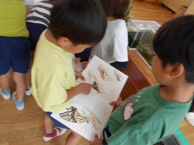 図鑑で調べている子ども