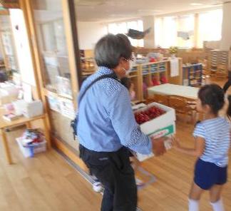 トマト農家の方がトマトを届けてくださったところ
