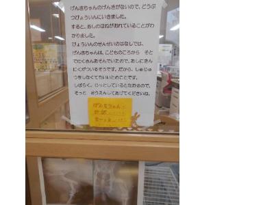 うさぎの病状