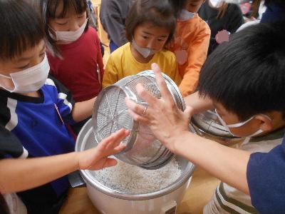 炊飯器の中にお米を入れる