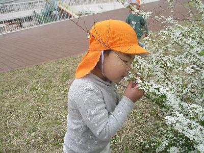日向3