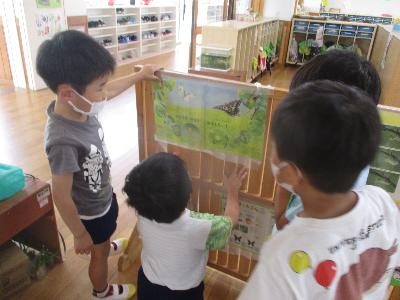 青虫4