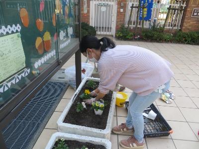 花を植える20221109