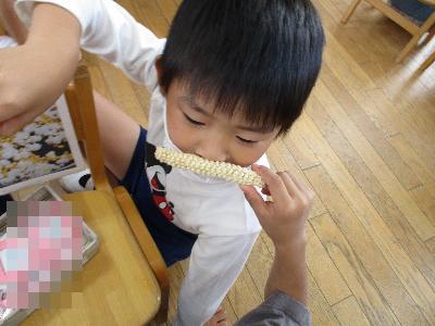 どんなにおい