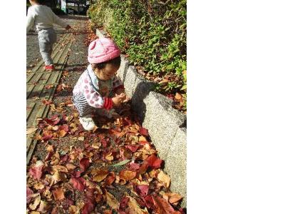 落ち葉に触る子