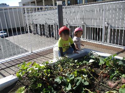 こんなとこにある