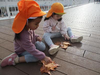 葉っぱ