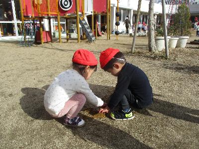 色の違う砂があった
