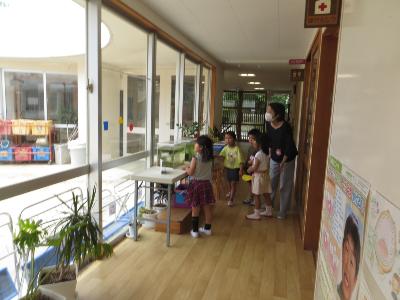 チョウが飛んだことを報告する子ども