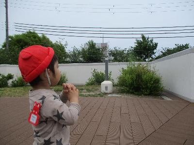 飛行機の音は聞こえるのに、見えないな