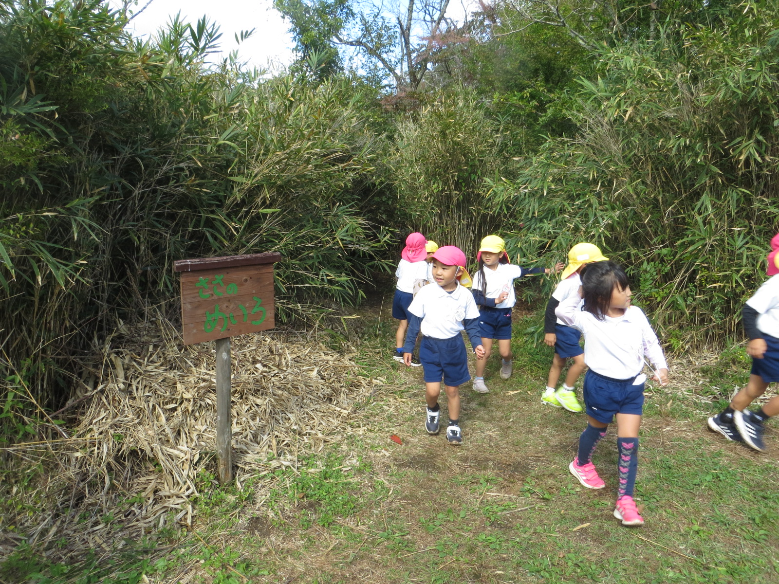 笹の迷路で