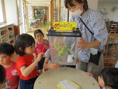 担任と一緒にチョウを見る子ども