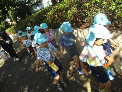 にじ組歩いている