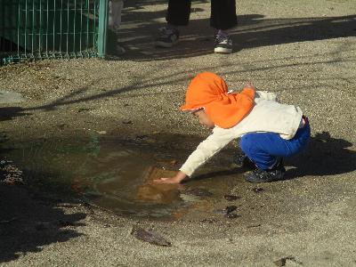 水に浮かぶ木切れ