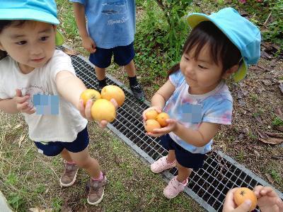ビワを持つ子ども