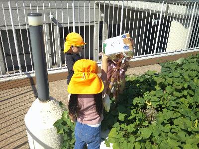 かかし