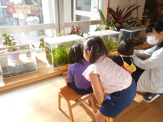 虹をみる子ども