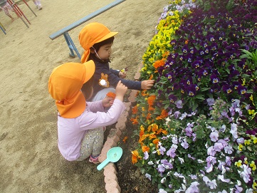 花壇の花に触れる子ども