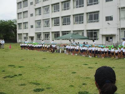 大きくなった