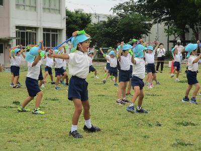 大きくなった12