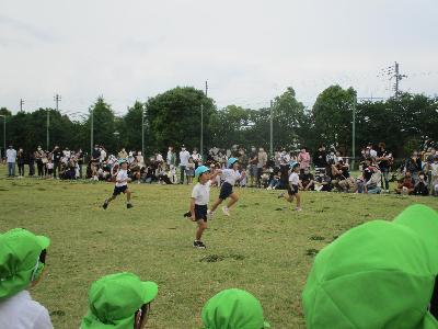 大きくなった3