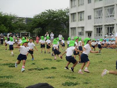 大きくなった4