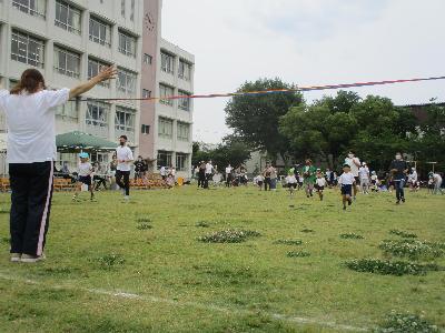 大きくなった5
