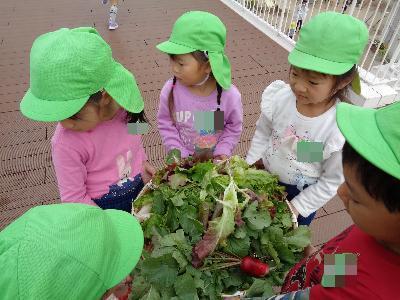 野菜を持つ子ども