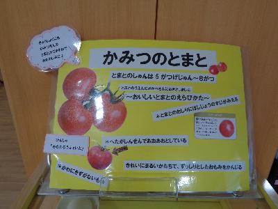 トマトの掲示