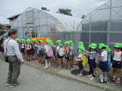 トマト農園に行く子ども