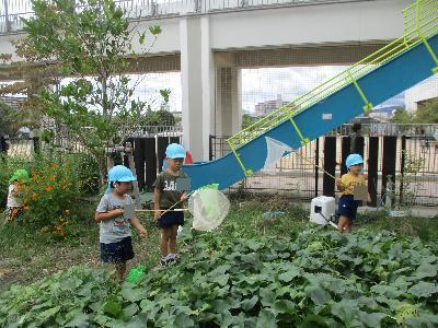 3歳ほし組20231002