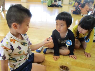コクワガタ、触れたよ。見てみて。