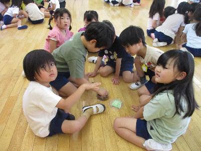 ゾウムシもコクワガタも平気だよ。