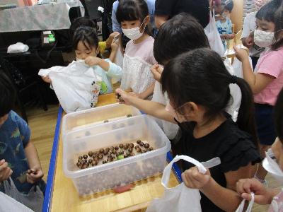拾ったもの