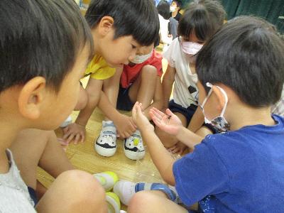 手のひらを歩く、ゾウムシ。