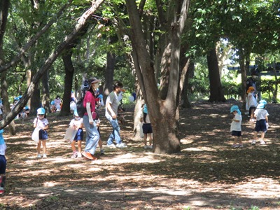 koyaike1