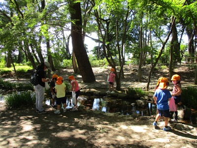 koyaike4