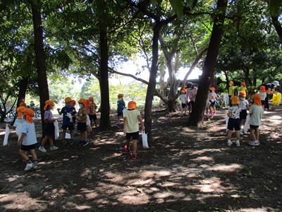 koyaike5