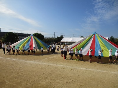 parapara
