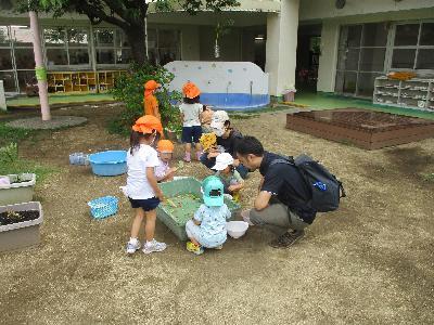 さくらっこ広場夏水遊び