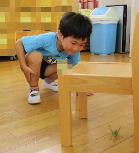 椅子の下のバッタをのぞき込む
