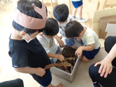 わかばむし8